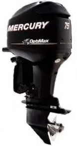 Mercury 75 HP Outboard for Sale